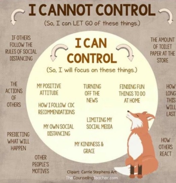 Infographic of things I can and cannot control.